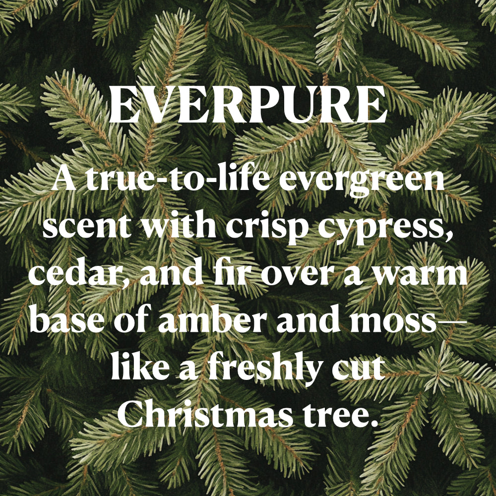 EVERPURE
A true-to-life evergreen scent with crisp cypress, cedar and fir over a warm base of amber and moss like a freshly cut Christmas tree.