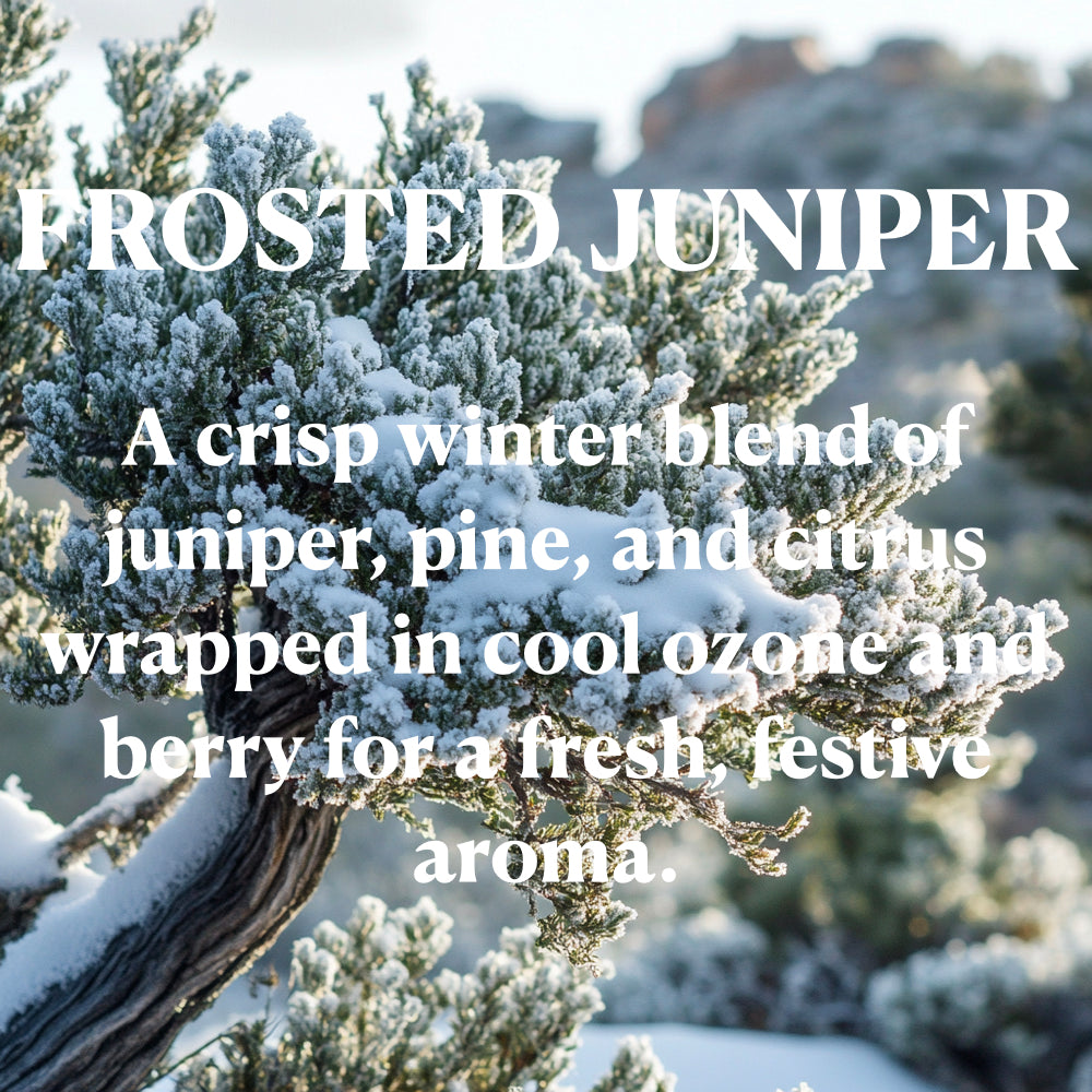 PROSTED JUNIPER
A crisp winter blend of juniper, pine, and citrus wrapped in cool ozone and berry for a fresh festive aroma.