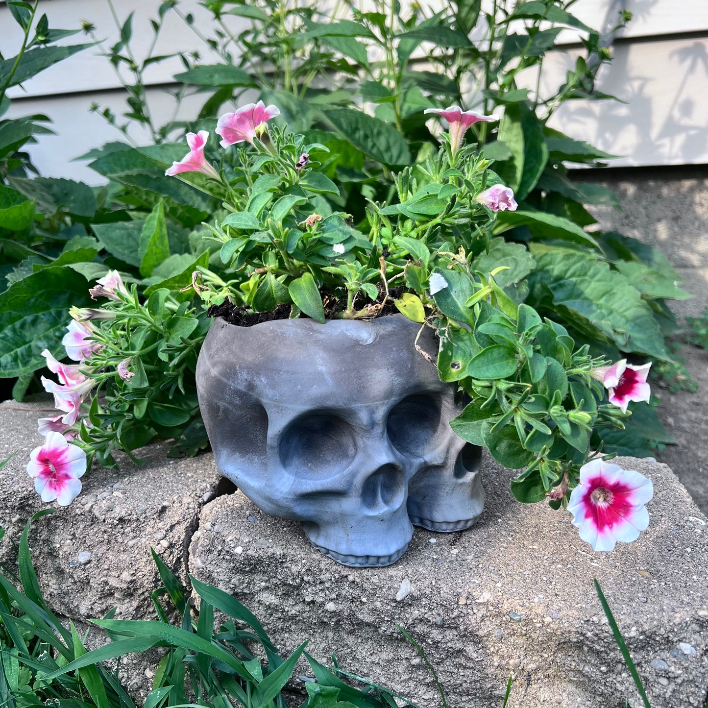 OhBuddy planter of the Double Skull in Grey color