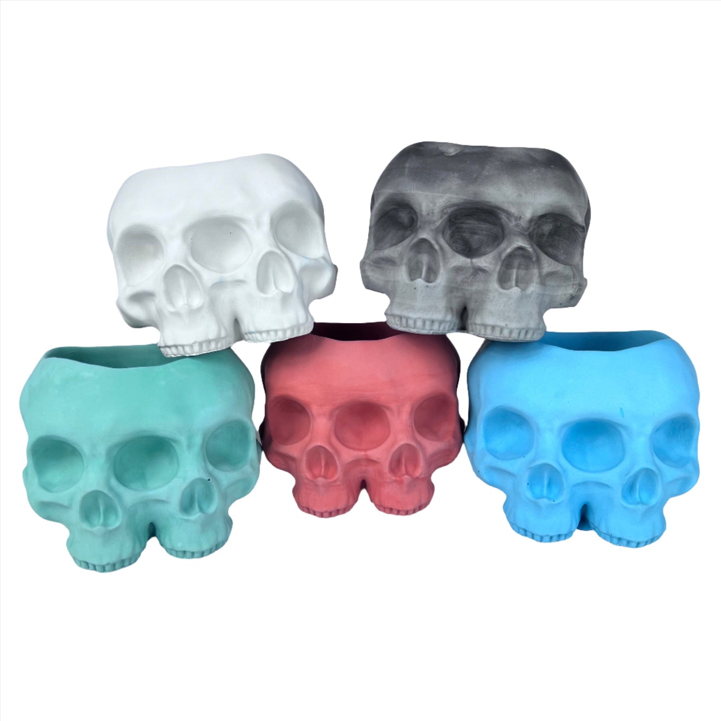 Large Double Skull Cement Pot Planter - Choose Your Color