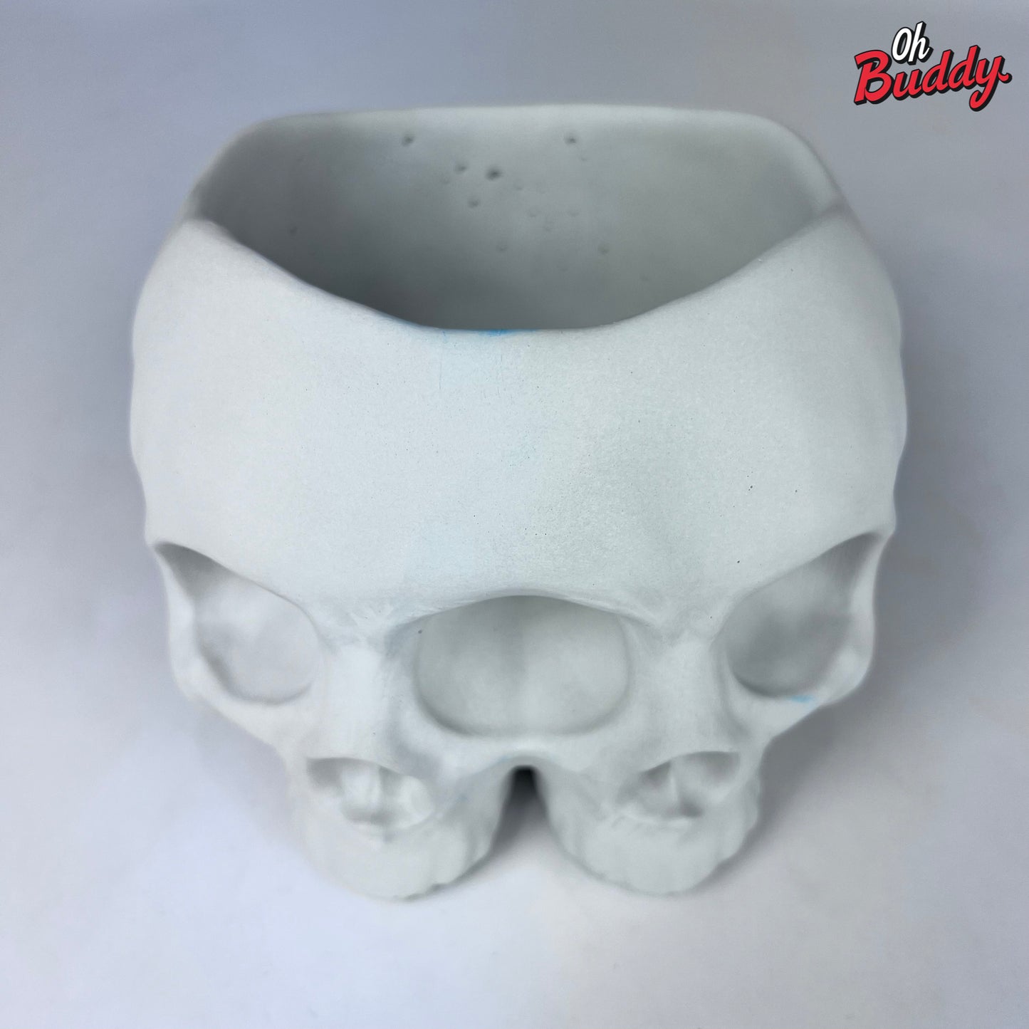 Large Double Skull Cement Pot Planter - Choose Your Color