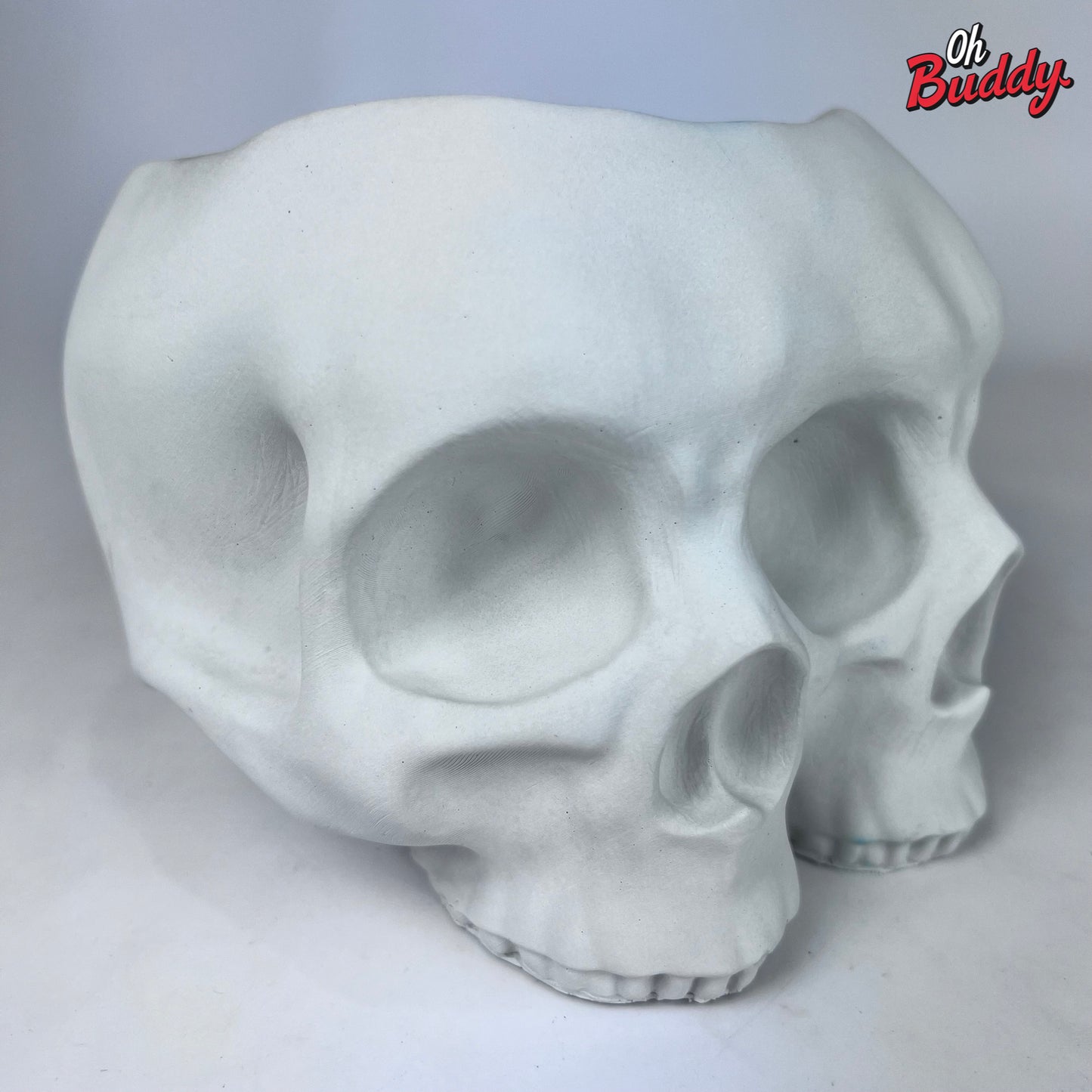 Large Double Skull Cement Pot Planter - Choose Your Color