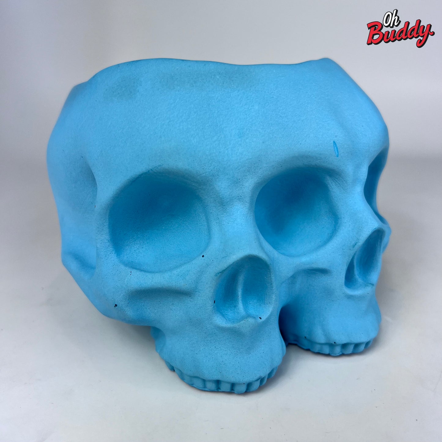 Large Double Skull Cement Pot Planter - Choose Your Color