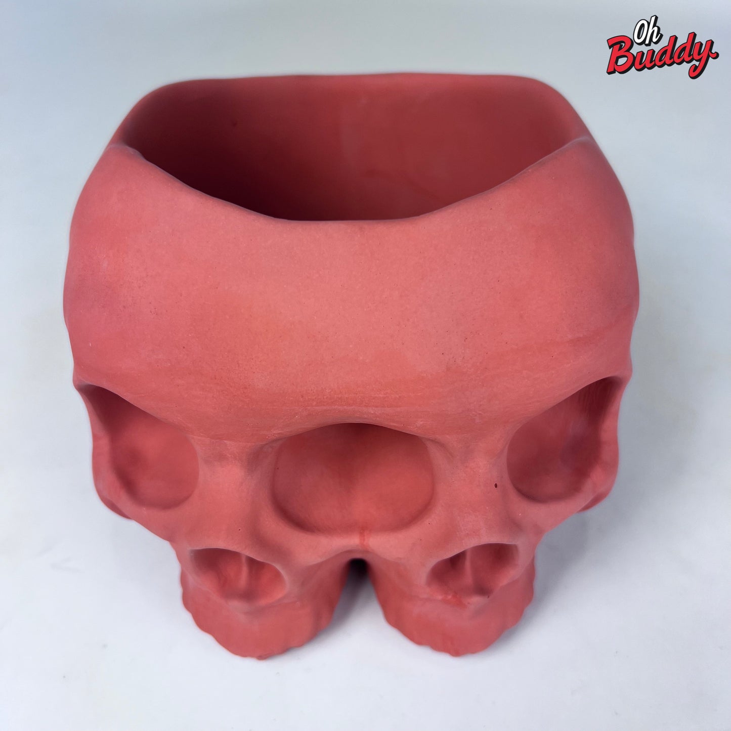 Large Double Skull Cement Pot Planter - Choose Your Color