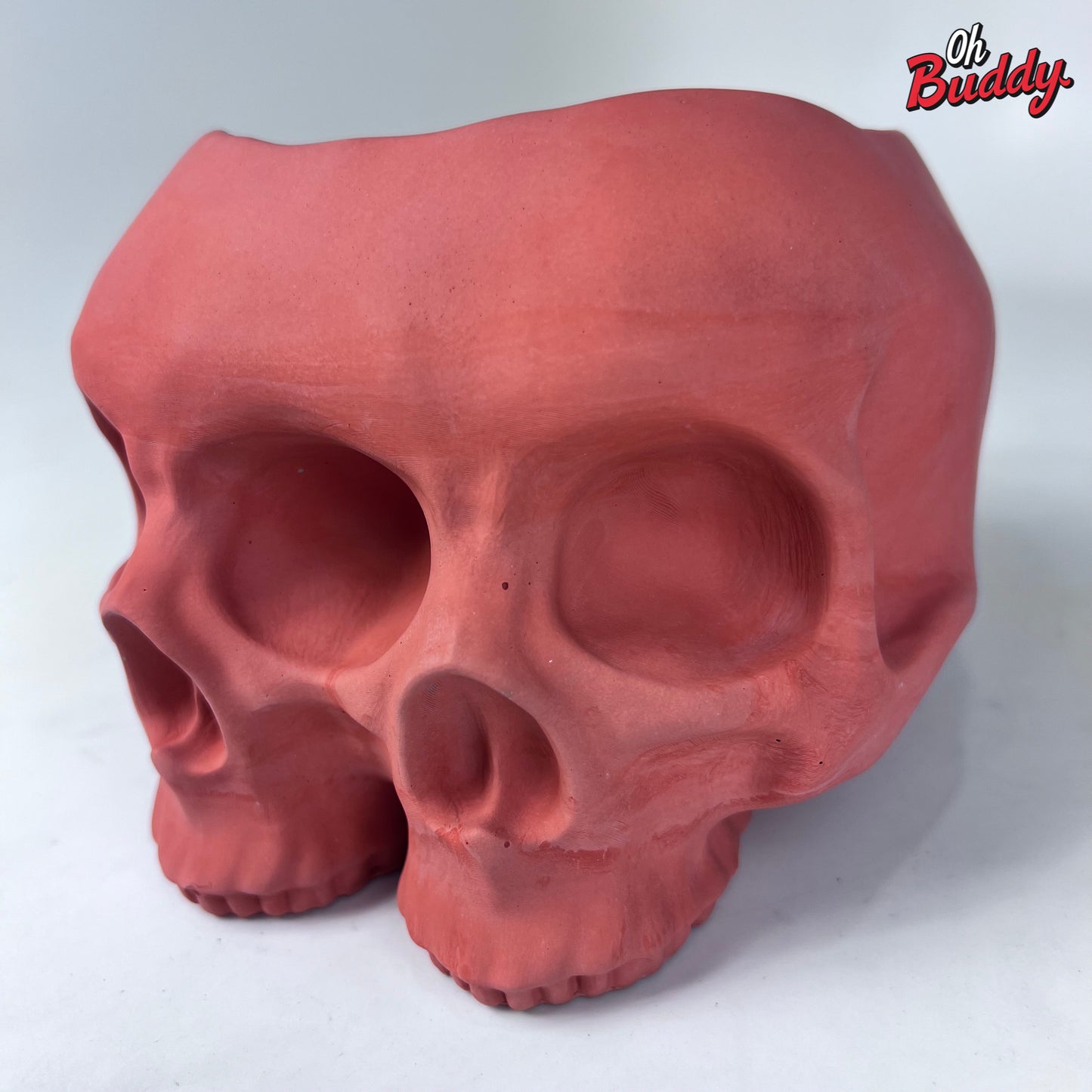 Large Double Skull Cement Pot Planter - Choose Your Color