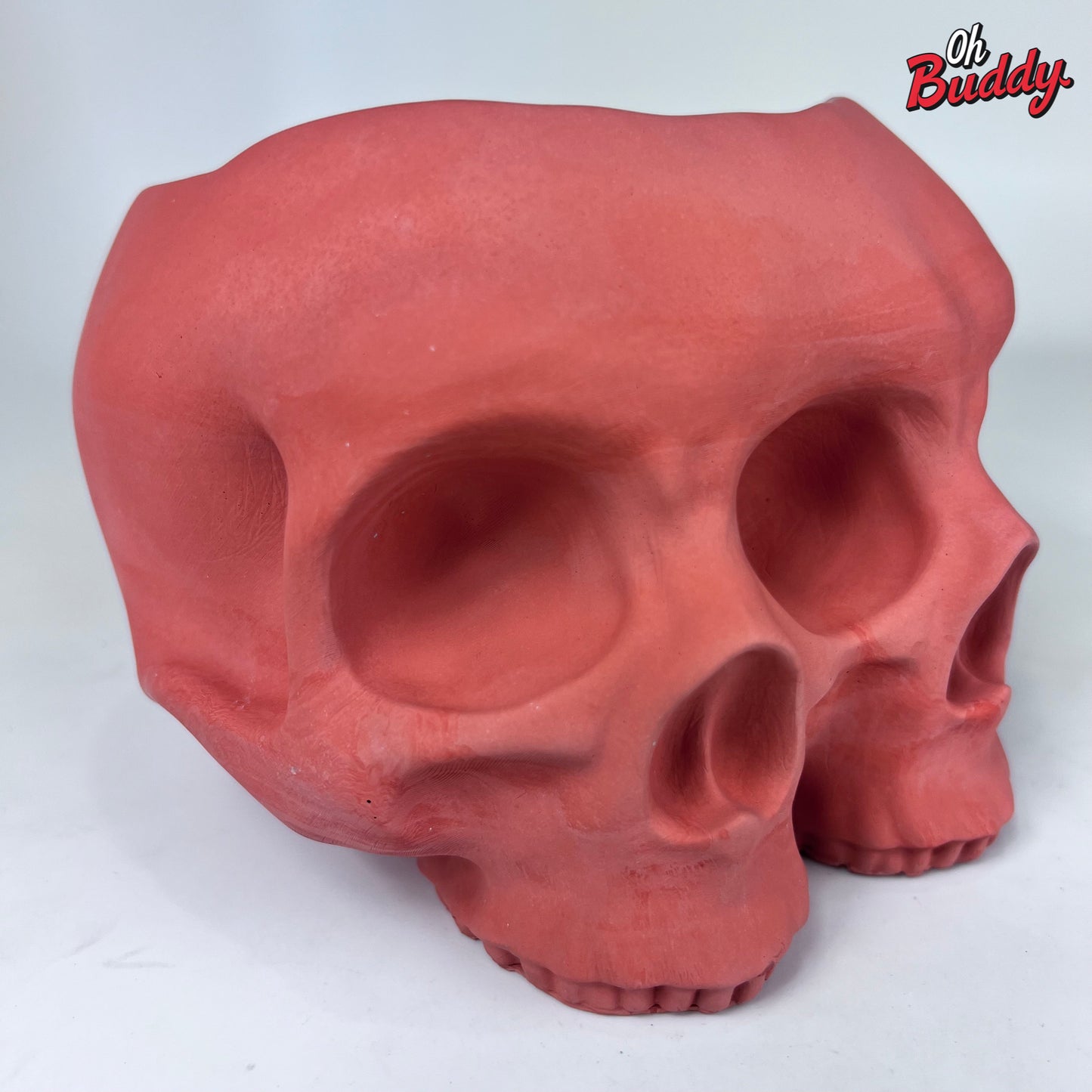 Large Double Skull Cement Pot Planter - Choose Your Color