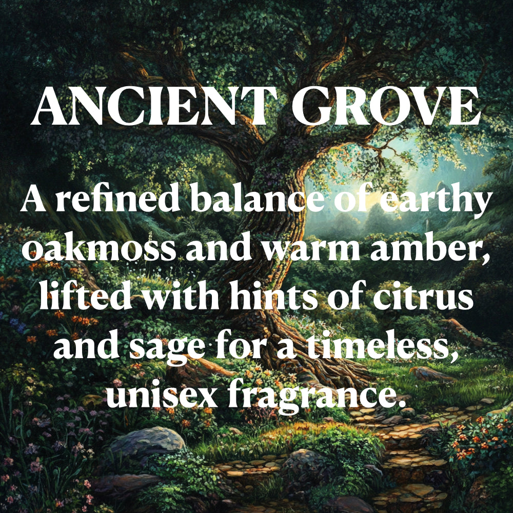 Ancient Grove - A refined balance of earthy oakmoss and warm amber, lifted with hints of citrus and sage for a timeless, unisex fragrance.