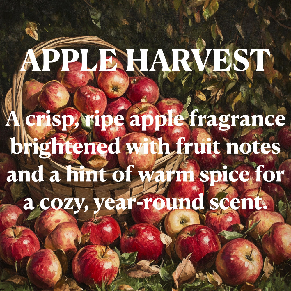 Apple Harvest - A crisp ripe apple fragrance brightened with fruit notes and a hint of warm spice for a cozy, year round scents