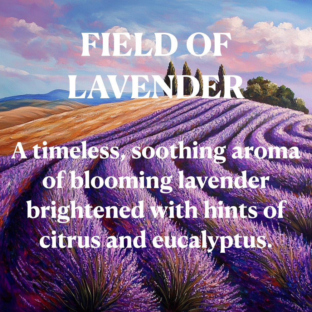 FIELD OF LAVENDER
A timeless, soothing aroma of blooming lavender brightened with hints of citrus and eucalyptus.