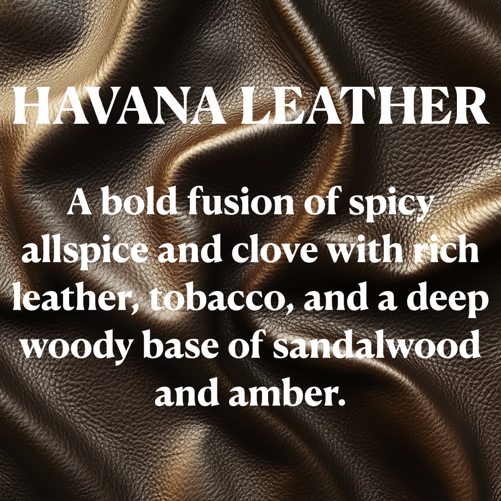 HAVANA LEATHER
A bold fusion of spicy allspice and clove with rich leather, tobacco, and a deep woody base of sandalwood and amber.
